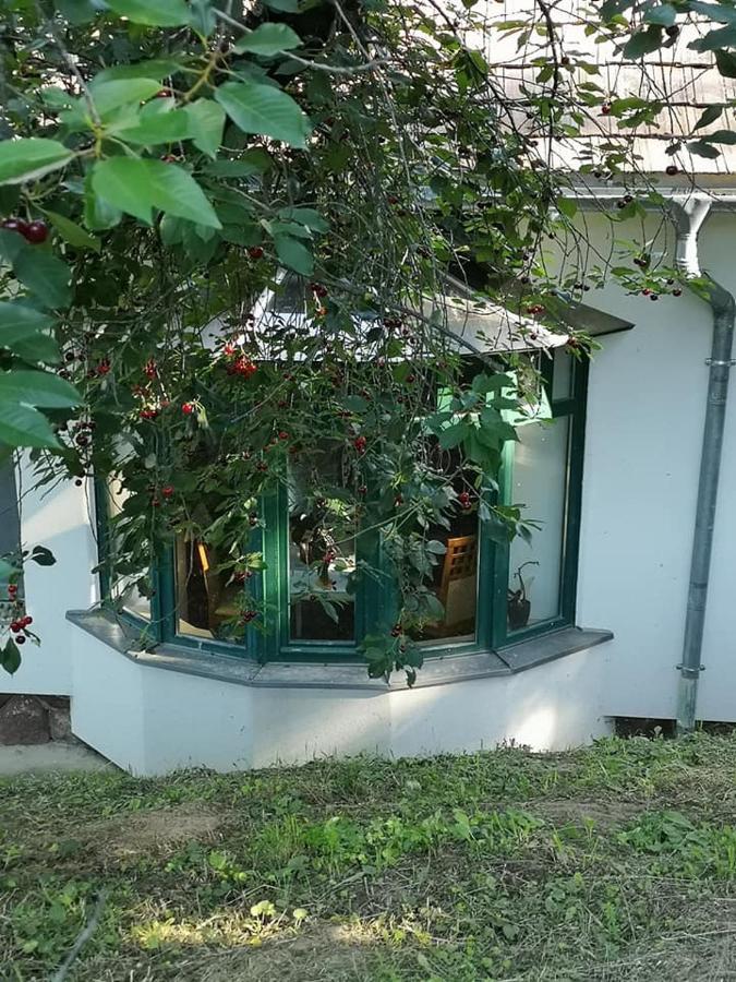 Вілла Nyugalomsziget Kotcse Екстер'єр фото