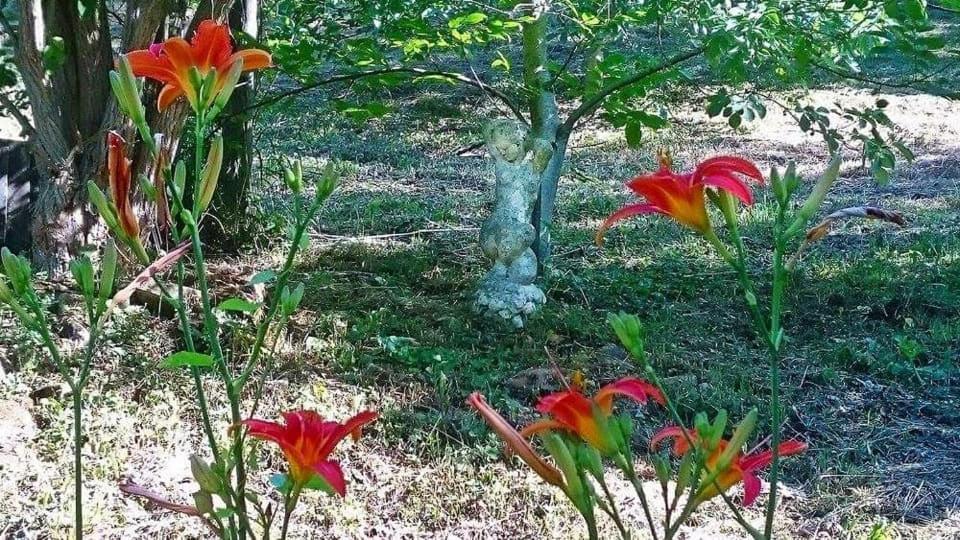 Вілла Nyugalomsziget Kotcse Екстер'єр фото